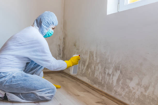 Mold inspector in Markham performing thermal imaging